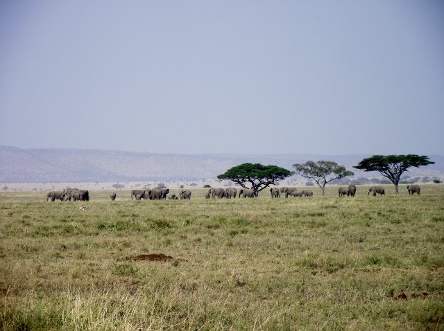 Tanzania 267
